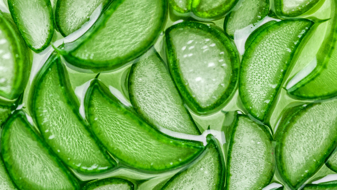 Charbon actif et Aloe Vera : le duo naturel gagnant contre les impuretés