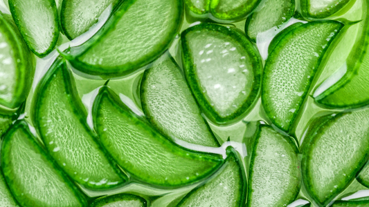 Charbon actif et Aloe Vera : le duo naturel gagnant contre les impuretés