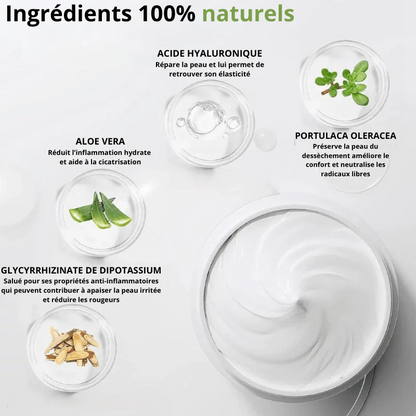 Masque Nasal + 180 Bandes à l’Aloe Vera - Élimination Express des Points Noirs